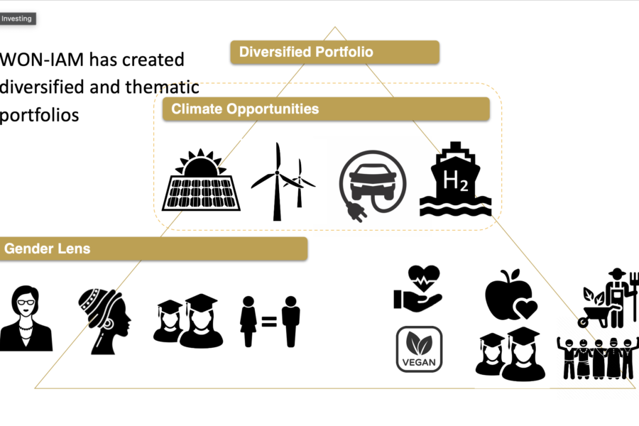 Diversified Impact Portfolio