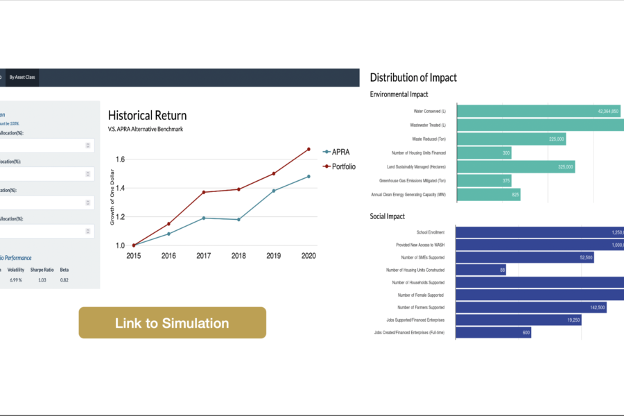 Impact Portfolio Simulation